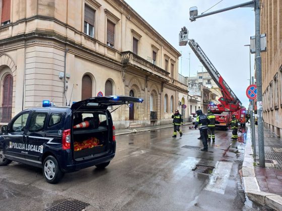Ennesima tragedia sfiorata: pino si abbatte in strada e rischia di travolgere un uomo a spasso col cane - Corriere Salentino