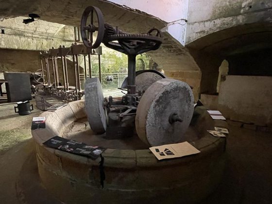 Melendugno mette in rete i suoi frantoi e regala una tre giorni di percorsi sensoriali e artistici - Corriere Salentino