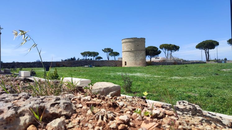 Alla Scoperta del Salento: Acquarica del Capo attraverso secoli di fede e prosperità - Corriere Salentino