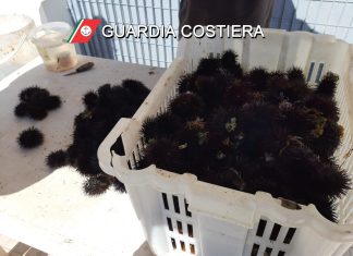 Pesca illegale, la Guardia Costiera sequestra ricci e attrezzature