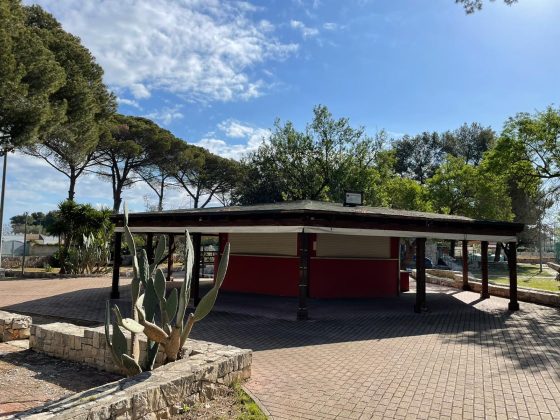 I Giovani Copertinesi alzano la voce sul Parco Santa Maria della Grottella: “gravi carenze” - Corriere Salentino