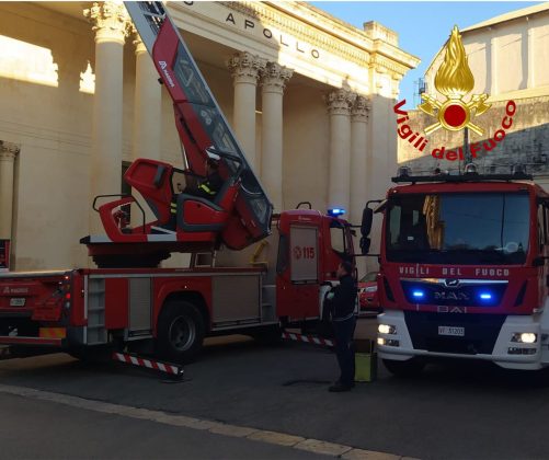 Grosso favo di api in pieno centro: intervengono i vigili del fuoco per metterle in salvo - Corriere Salentino