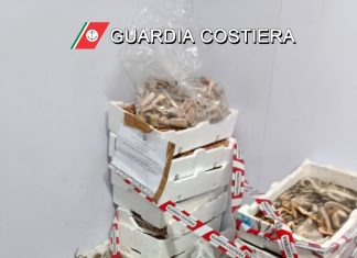 Prodotto ittico non tracciato: quasi 200 chili sequestrati in una pescheria. Scatta anche la multa