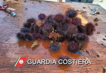 Ambiente - Corriere Salentino