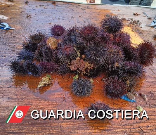 Pescano ricci a Marina Serra nonostante gli avvertimenti dei bagnanti: sequestro e multa salatissima a due turisti