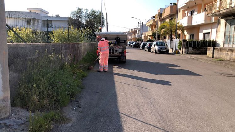 Erbacce, cinque squadre di operatori per liberare la città di Nardò - Corriere Salentino