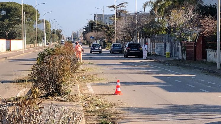 Erbacce, cinque squadre di operatori per liberare la città di Nardò - Corriere Salentino