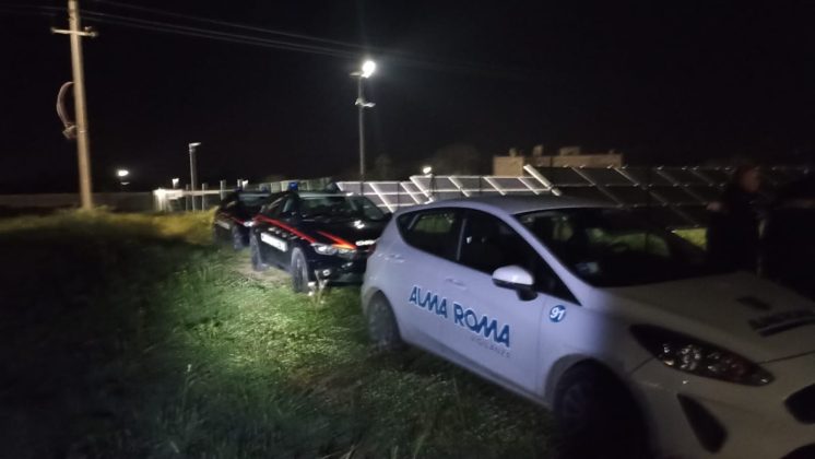 Si intrufolano nel campo fotovoltaico per rubare oro rosso: allarme li mette in fuga. Ladri ripresi dalle telecamere - Corriere Salentino