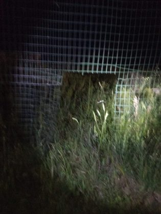 Si intrufolano nel campo fotovoltaico per rubare oro rosso: allarme li mette in fuga. Ladri ripresi dalle telecamere - Corriere Salentino