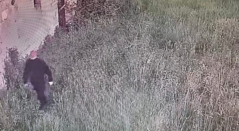 Si intrufolano nel campo fotovoltaico per rubare oro rosso: allarme li mette in fuga. Ladri ripresi dalle telecamere - Corriere Salentino