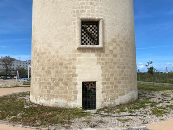 Alla scoperta del Salento: La torre colombaia di Borgo San Nicola, vedetta dei fasti del passato - Corriere Salentino