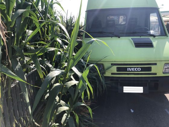 Mercato Bisettimanale, Capoccia: “Si garantiscano le condizioni minime di sicurezza con lo sfalcio delle sterpaglie” - Corriere Salentino