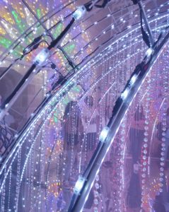 Luminarie in Fiore, evento nell’evento a Leverano - Corriere Salentino