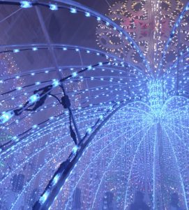 Luminarie in Fiore, evento nell’evento a Leverano - Corriere Salentino