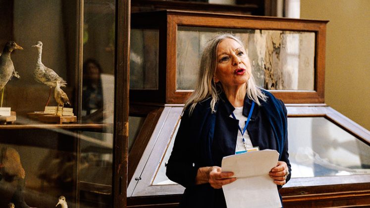 Fondo Cultura: al via il progetto “Gallipoli, qui dove finisce il mare ed inizia la terra” - Corriere Salentino