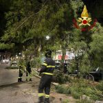 Il ramo di un grosso pino si stacca e cade sul viale: travolta un'auto parcheggiata - Corriere Salentino