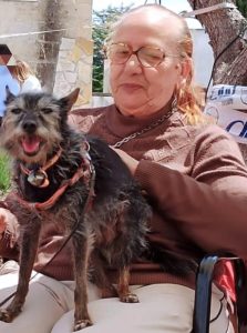 Amstaff sfugge al controllo del proprietario saltando la recinzione e azzanna uccidendo un altro cane - Corriere Salentino