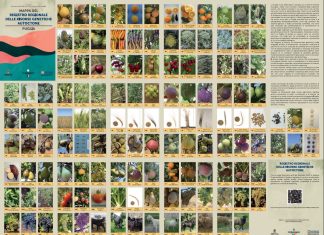 Settimana della Biodiversità Pugliese al via il 20 maggio da Lecce