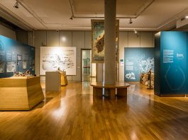 giornate europee del patrimonio 2026, apertura straordinaria dei musei dell’università Cultura - Corriere Salentino