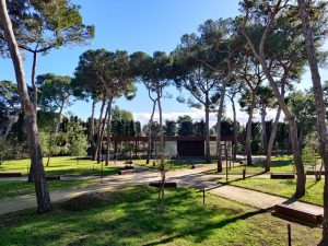 Pubblicato il bando per la locazione del bar nel Parco Galateo - Corriere Salentino