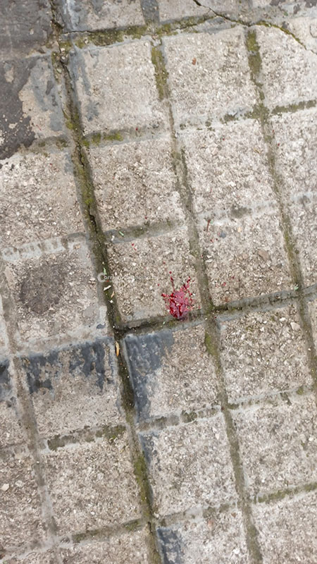 Risse continue con cocci e catene, spaccio e bivacco. "Il Bronx è qui: abbiamo paura ad uscire di casa" - Corriere Salentino