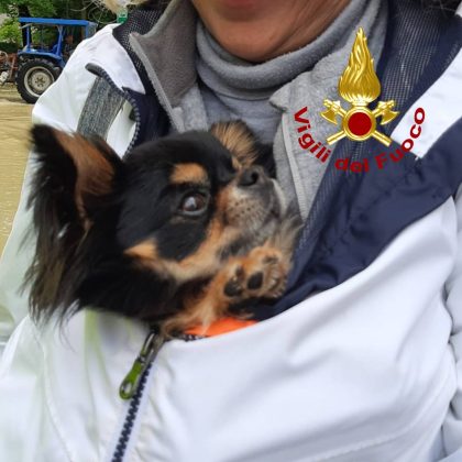 Alluvione in Emilia Romagna, tra i soccorritori anche una squadra dei vigili del fuoco di Lecce - Corriere Salentino