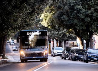 SGM, grande successo per il servizio Lecce-Novoli in occasione della Fòcara