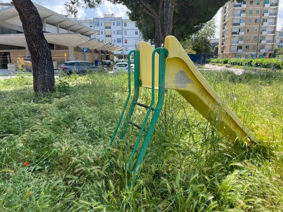 La protesta di Guido: “Erba infestante sui marciapiedi di Lecce, pericolosa per gli amici a 4 zampe. Indecenza assoluta” - Corriere Salentino