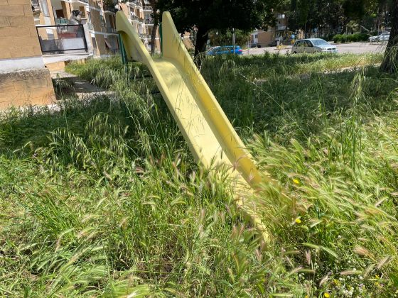 La protesta di Guido: “Erba infestante sui marciapiedi di Lecce, pericolosa per gli amici a 4 zampe. Indecenza assoluta” - Corriere Salentino