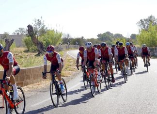 “Il Giro dei Venti” crea il giardino del futuro. I partecipanti piantano 250 alberi di ulivo