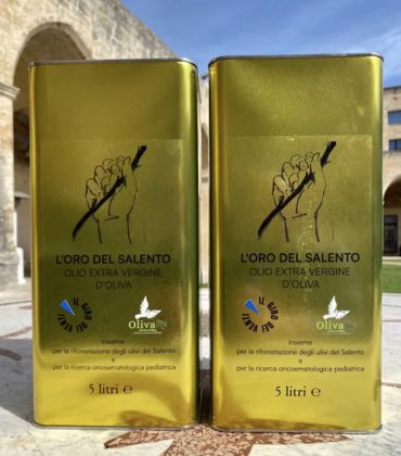 "Il Giro dei Venti" crea il giardino del futuro. I partecipanti piantano 250 alberi di ulivo - Corriere Salentino