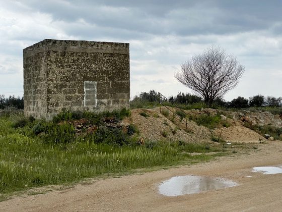 Ultimo incontro per il progetto di ricerca sociologica e visuale "Arneo. Memorie e transizioni", sulle tracce delle lotte d'Arneo del '50-'51 - Corriere Salentino