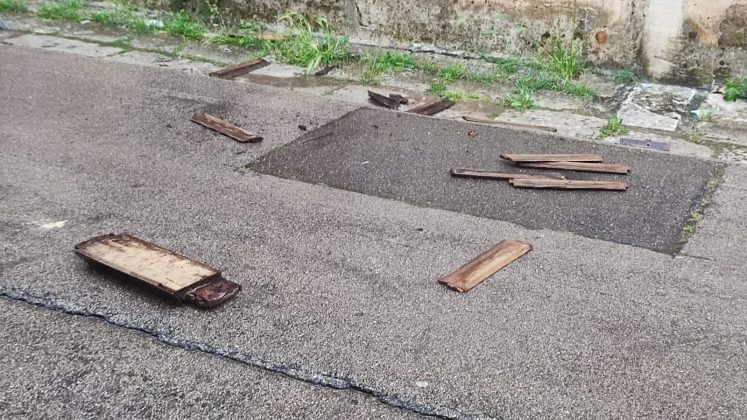 Maltempo, nel Salento cadono decine di alberi su strade e binari. A Diso sradicate le luminarie della festa - Corriere Salentino