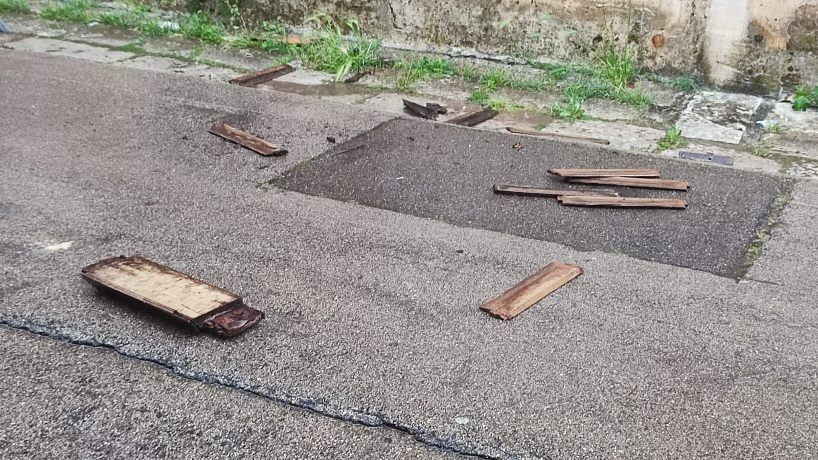 Maltempo, nel Salento cadono decine di alberi su strade e binari. A Diso sradicate le luminarie della festa - Corriere Salentino