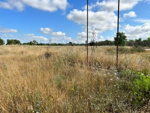 Galugnano, gruppo “Ci siamo”: “Campo sportivo discarica a cielo aperto” - Corriere Salentino