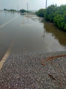 Torre Suda, le strade affondano in poco tempo. La protesta di Parata: “Marina impraticabile per qualche ora di pioggia” - Corriere Salentino