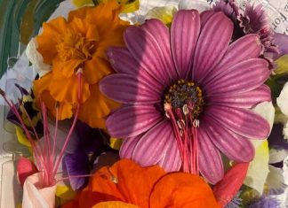 Fiori: Coldiretti Puglia, da allestimenti a decorazioni fino a ragù petali e zuppa margherite con gli eduli in cucina