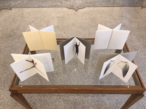 Finissage di Poesia Visiva alla Galleria Artpoetry Lecce. l/Ritratti Portatili di Liliana Ebalginelli - Corriere Salentino