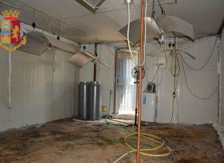 Nella masseria oltre un chilo di droga, nel terreno attiguo una maxi piantagione di marijuana: 40enne nei guai