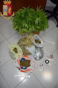 Nella masseria oltre un chilo di droga, nel terreno attiguo una maxi piantagione di marijuana: 40enne nei guai - Corriere Salentino