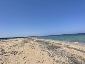 Spiagge libere o abbandonate? Alla scoperta dell’oasi “Li Punzi” di San Cataldo: una meraviglia trascurata anche nella stagione estiva - Corriere Salentino