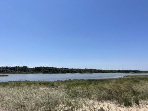Spiagge libere o abbandonate? Alla scoperta dell’oasi “Li Punzi” di San Cataldo: una meraviglia trascurata anche nella stagione estiva - Corriere Salentino