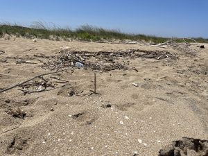Spiagge libere o abbandonate? Alla scoperta dell’oasi “Li Punzi” di San Cataldo: una meraviglia trascurata anche nella stagione estiva - Corriere Salentino