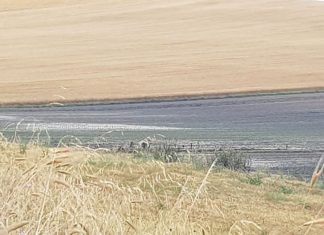 Maltempo, danni incalcolabili nelle campagne