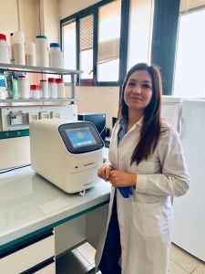 L’ulivo “rinasce” dopo la Xylella: analisi e prospettive a dieci anni di distanza - Corriere Salentino