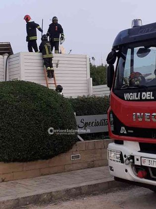 Altra notte, altro incendio: alle fiamme un lounge bar nel Capo di Leuca - Corriere Salentino