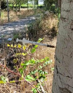 Guido: “Parchi abbandonati a Lecce. Baden Powell, il parco dell’orrore” - Corriere Salentino