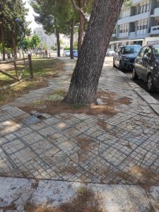 Barriere architettoniche, buche e ostacoli: un breve video sul difficile percorso di un disabile sui marciapiedi leccesi - Corriere Salentino