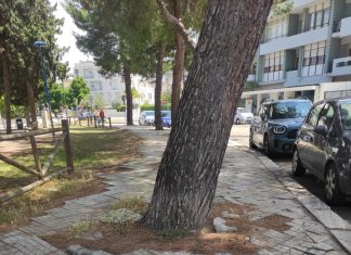 Via Balsamo e via Giammatteo: alcuni residenti protestano per degrado e pericolo. Scorrano: “Si pensi ai bisogni dei leccesi e alla cura del verde pubblico”