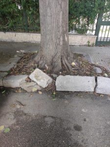 Barriere architettoniche, buche e ostacoli: un breve video sul difficile percorso di un disabile sui marciapiedi leccesi - Corriere Salentino